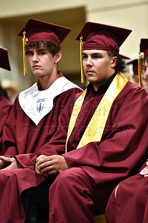 HBP_6835