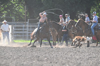 Roping - Utopia Horse Club